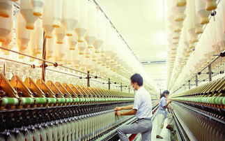 印度纺织飞速发展 中国纺企有多少机会